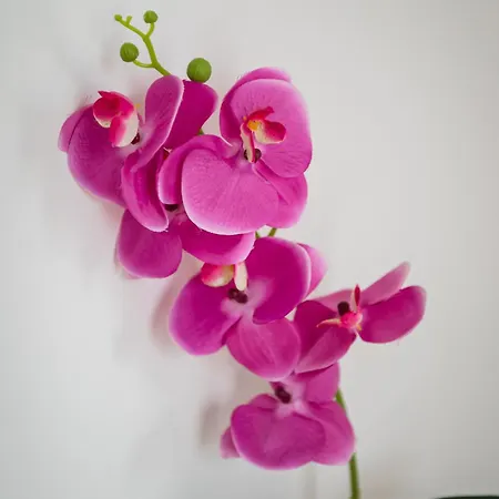 Appartement Krakowska Center Wawelofts *