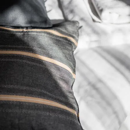 Krakowska Center Wawelofts Appartement *