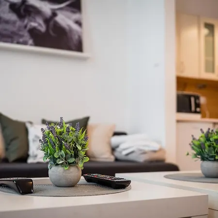 Appartement Krakowska Center Wawelofts