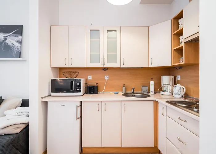 Krakowska Center Wawelofts Apartment *