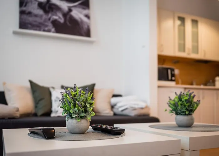 Apartment Krakowska Center Wawelofts