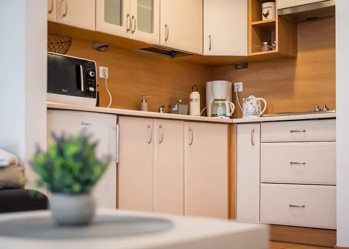 Apartment Krakowska Center Wawelofts *