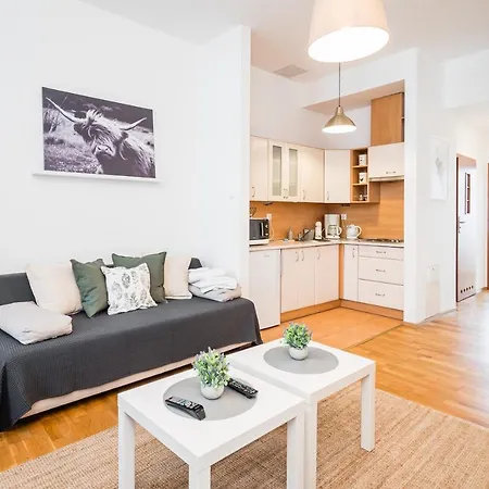 公寓 Krakowska Center Wawelofts *